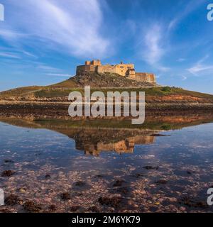 Giorno Vista estiva del Castello di Lindisfarne, Holy Island, Northumberland, Inghilterra, Regno Unito Foto Stock