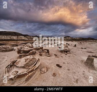 Le formazioni rocciose sembrano uova aliene incrinate, l'area desertica di Bisti Badlands nel New Mexico, USA Foto Stock