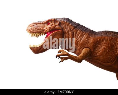 Tyrannosaurus Rex con bocca aperta Foto Stock