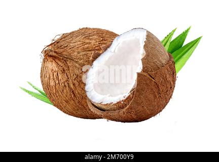 Cocco fresco maturo, mezzo pezzo di cocco con carne bianca e foglie di palma closeup isolato. Composizione di frutti di cocco tropicali con impilamento di fuoco Foto Stock