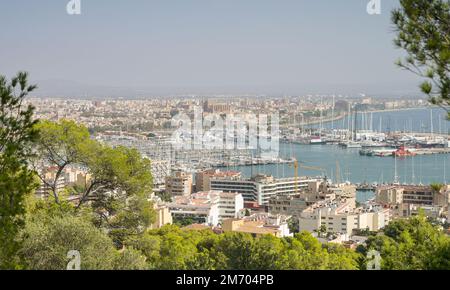 Stadtpanorama, Puerto de Palma, Palma, Maiorca, Spagna Foto Stock