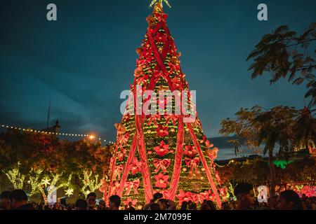 Merry Go Round lunga esposizione durante le celebrazioni natalizie al Downtown Cathedral di Guadalajara, Messico Foto Stock