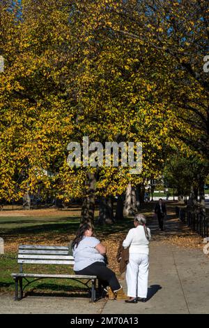 Due donne che parlano, sentiero sulla 23rd Street, NW, Washington, D.C., USA Foto Stock