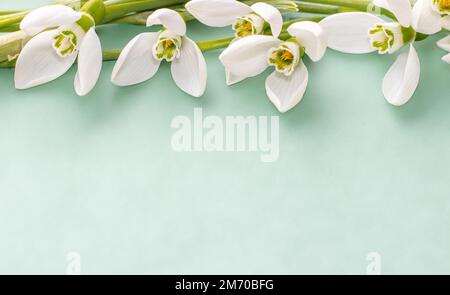 uno o bouquet di gocce di neve in vetro tequila modello isolato fino primavera sta arrivando numero cifre donne giorno internazionale prima fiori della foresta Foto Stock