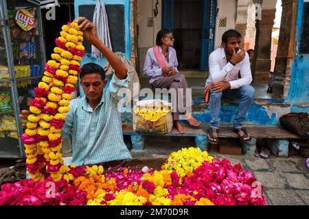 Pushkar, India - 7 novembre 2019 - fornitore indiano di fiori che vende i fiori per gli scopi religiosi sulle strade di Pushkar nel mercato dei fiori. Pushka Foto Stock