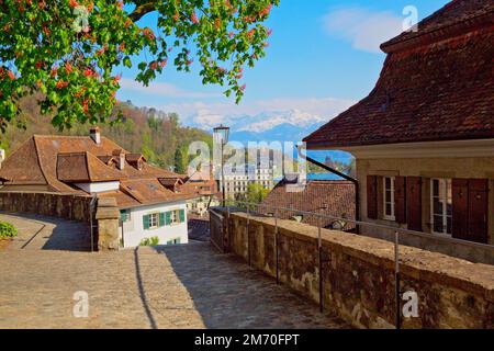 Bellissima città di Thun, Lago di Thunersee, alpi svizzere, Svizzera Foto Stock