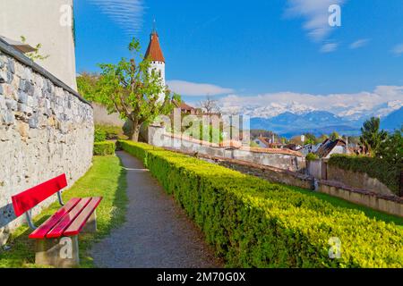 Bellissima città di Thun, Lago di Thunersee, alpi svizzere, Svizzera Foto Stock