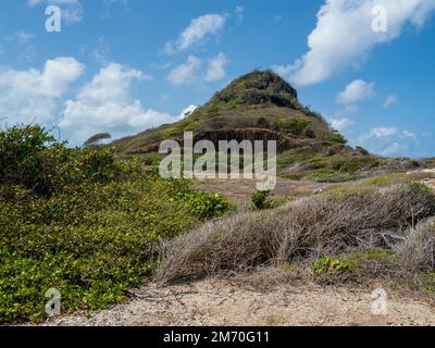 Union Island, Grenadine, Caraibi. Frigate Island raggiunta da una strada sopraelevata sulla Ashton Lagoon, roccia vulcanica basaltica. Foto Stock