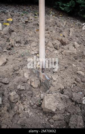 Operazioni di scavo in un orto per preparare il terreno alla semina primaverile. Foto Stock