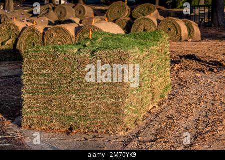 Quadrati di erba di zolle fresche impilati su pallet pronti per l'installazione orizzontale. Foto Stock