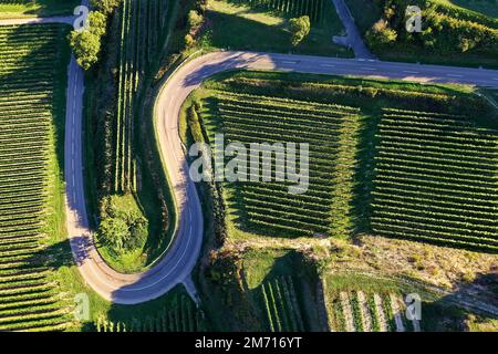 Vista aerea del Texas Pass presso il Kaiserstuhl con vista sui vigneti. Oberbergen, Breisgau, Foresta Nera, Friburgo, Baden-Wuerttemberg Foto Stock