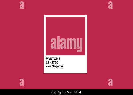 Scheda colore PANTONE Viva Magenta Foto Stock