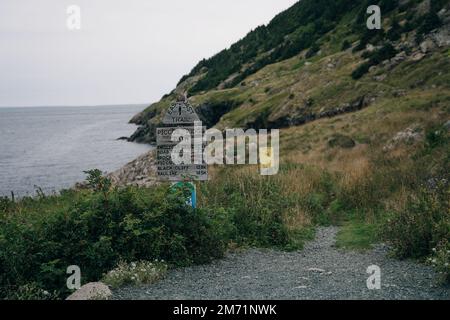 Piccos Ridge Path, terranova, canada - ott 2022. Foto di alta qualità Foto Stock