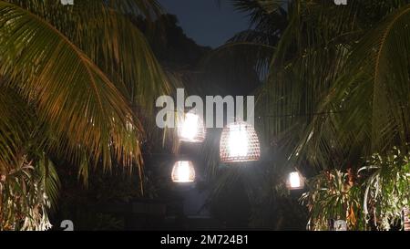 Lampada di lampione da coperta tessuta di bambù appesa nell'albero Foto Stock