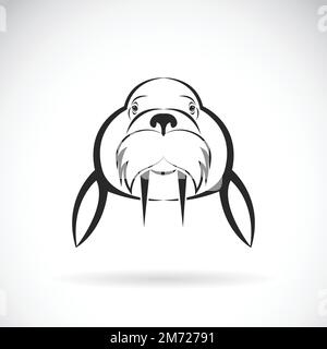 Immagine vettoriale del leone marino su sfondo bianco. / Vector Sea Lion per il tuo progetto. Illustrazione vettoriale a strati facilmente modificabile. Illustrazione Vettoriale