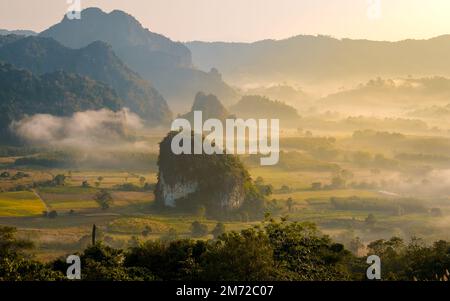 Alba con nebbia e nebbia sulle montagne di Phu Langka nel nord della Thailandia, vista sulle montagne del Parco Nazionale di Phu Langka nella provincia di Phayao Foto Stock