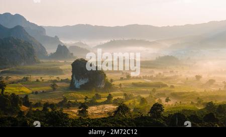 Bella Alba con nebbia e nebbia ai monti Phu Langka nel nord della Thailandia, Vista montagna del Parco Nazionale di Phu Langka nella provincia di Phayao Foto Stock