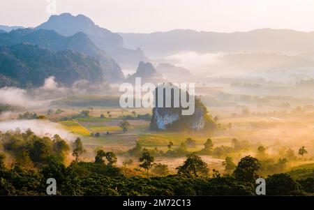 Alba con nebbia e nebbia sulle montagne di Phu Langka nel nord della Thailandia, vista sulle montagne del Parco Nazionale di Phu Langka nella provincia di Phayao Foto Stock