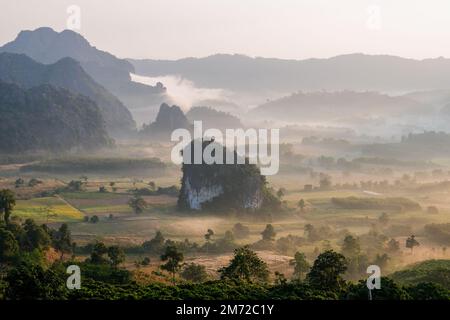 Bella Alba con nebbia e nebbia ai monti Phu Langka nel nord della Thailandia, Vista montagna del Parco Nazionale di Phu Langka nella provincia di Phayao Foto Stock