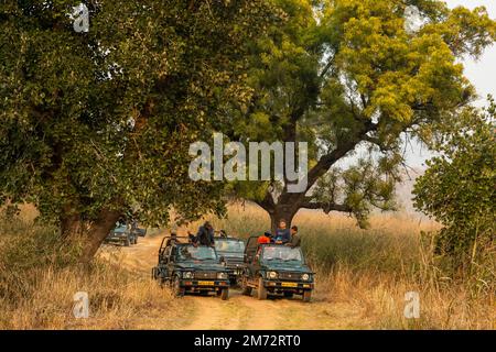 Parco nazionale di panna, madhya pradesh, India - 24 dicembre 2022 - i turisti e i fotografi in veicolo di safari della fauna selvatica o zingari stanno aspettando la tigre Foto Stock