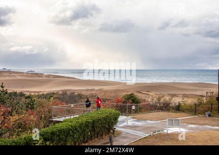 Tottori Giappone 1st dicembre 2022: I turisti sono dalla piattaforma di osservazione del Museo della sabbia per guardare la vista autunnale delle dune di sabbia Tottori. Foto Stock