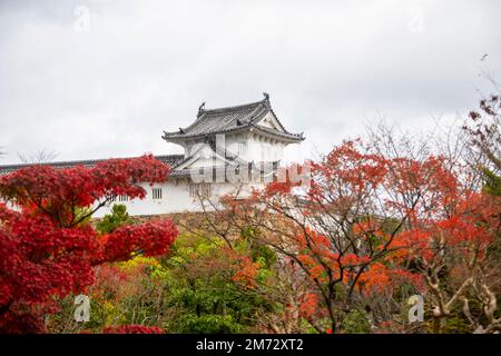 La vista esterna di Nishinomaru nel Castello di Himeji, un complesso di castello giapponese in cima ad una collina. Si trova nella prefettura di Hyogo in Giappone. Foto Stock