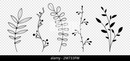Set di piante vettoriali ed erbe. Elementi floreali disegnati a mano. Silhouette di elementi naturali per sfondi stagionali. Illustrazione vettoriale Illustrazione Vettoriale