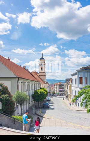 Uhersky Brod (Ungarisch Brod) : Piazza Masarykovo e il municipio in , Zlinsky, Zlin Region, Zliner Region, Czech Foto Stock