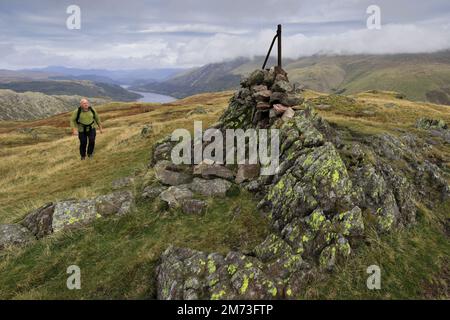 Walker alla cima del cairn su acciaio caduto, sopra Thirlmere nelle Fells centrali, Lake District National Park, Cumbria, Inghilterra, Regno Unito acciaio caduto è uno di Foto Stock