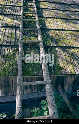 Scala in legno su tetto in legno con muschio Foto Stock