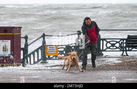 Brighton UK 7th Gennaio 2023 - questo cane viene spazzato dal vento forte come il mare si schianta sul lungomare di Hove come tempeste battono la costa meridionale oggi : Credit Simon Dack / Alamy Live News Foto Stock