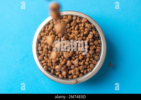 Versare la razione degli alimenti secchi per animali domestici in un recipiente di metallo su sfondo blu. Nutrire gatti e cani con cibo secco granulato. Pellet di alimenti sani per cani e. Foto Stock