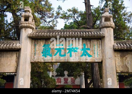 Qufu,provincia di Shandong,Cina Foto Stock