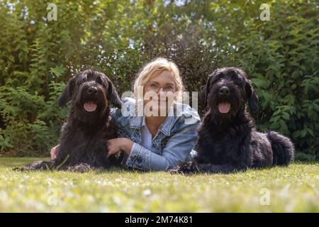 La donna sta posando con i suoi due cani grandi Schnauzer all'aperto. Stanno guardando la fotocamera. Foto Stock
