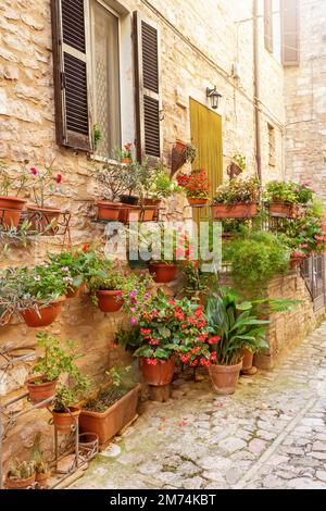 Vista sulle caratteristiche case in pietra italiane nel borgo di origine medievale di Spello. Umbria. Italia. Verticalmente. Foto Stock