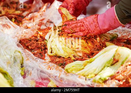 Primo piano delle mani che fanno il kimchi Foto Stock