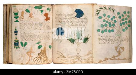 Voynich manoscritto. Pagine campione del manoscritto Voynich, un codice illustrato scritto a mano in un sistema di scrittura altrimenti sconosciuto. Datato al 15th ° secolo. Foto Stock