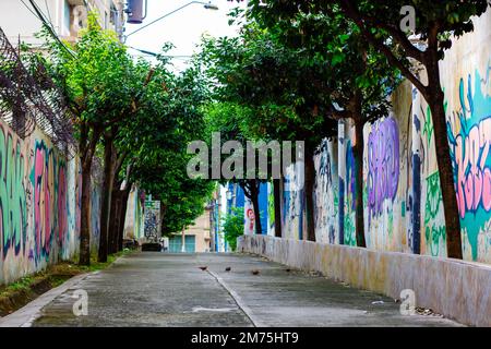 vicolo tra due strade con alberi ai lati Foto Stock