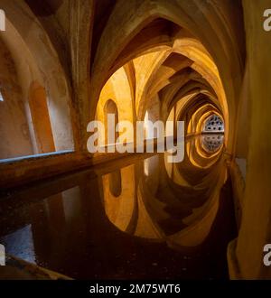 I bagni del Real Alcazar a Siviglia Spagna Foto Stock