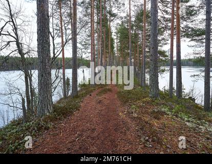Un'immagine di una strada pedonale con alti alberi circondata da un lago Foto Stock