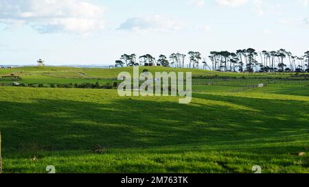 Puhinui Reserve, il sito dei crateri vulcanici Puhinui a Manukau, Auckland, Nuova Zelanda Foto Stock