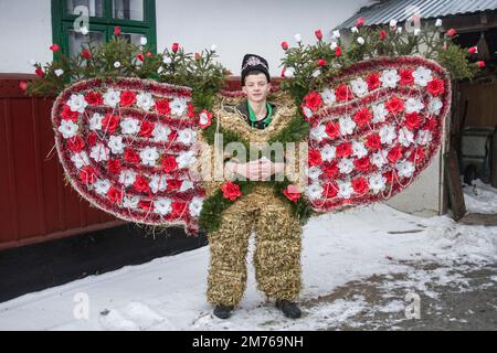 Krasnoilsk, Ucraina - 13 gennaio 2017: Un costume unico di un orso rumeno per la celebrazione di Malanka, è un'antica festa popolare Ucraina che unisce Foto Stock