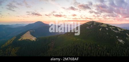Vista aerea di uno scenario incredibile con nebbia scura cima di montagna coperta da alberi di pino foresta all'alba d'autunno. Bel bosco selvaggio con brilla Foto Stock