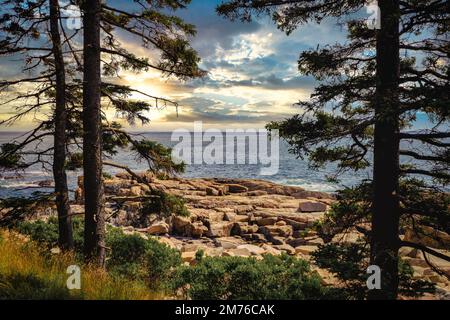 un primo piano di una collina accanto ad un albero Foto Stock