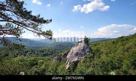 Enormi formazioni rocciose di massi alte in montagna con alberi in crescita in estate giorno di sole Foto Stock