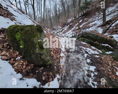 Una vista panoramica dell'escursione invernale "The Whirlpool Trail" alle Cascate del Niagara, Canada Foto Stock