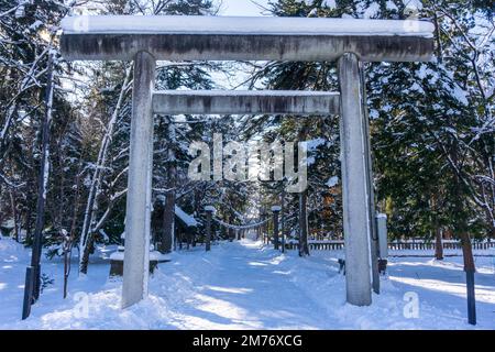 Vista della porta torii coperta di neve al santuario Higashikawa in una luminosa giornata invernale di Capodanno nella città di Higashikawa, Hokkaido, Giappone settentrionale Foto Stock