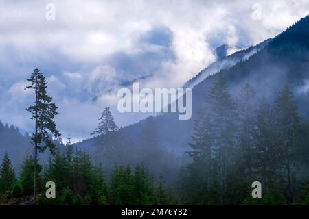 Montagne di Misty nell'Olympic National Park, stato di Washington, Stati Uniti Foto Stock