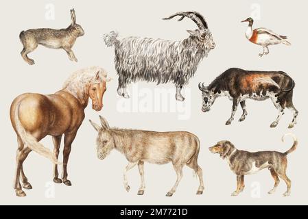 Vintage campagna animali set vettore Illustrazione Vettoriale