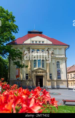 Opava (Troppau): Casa municipale (Obecní dům) in , Moravskoslezsky, Regione Moravo-Slesiana, Regione Mährisch-schlesische, Ceco Foto Stock